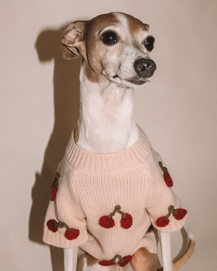 blush knit dog sweater cherry detail close up showing textured embroidery and soft fabric