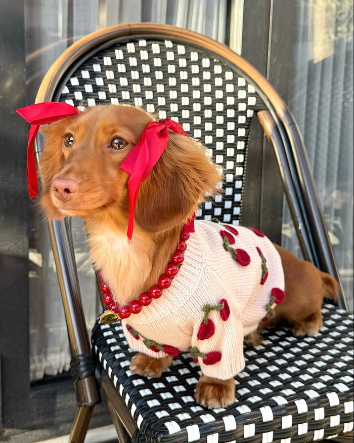 cherry applique dog sweater cute blush colored knit with decorative fruit accents modern pet apparel