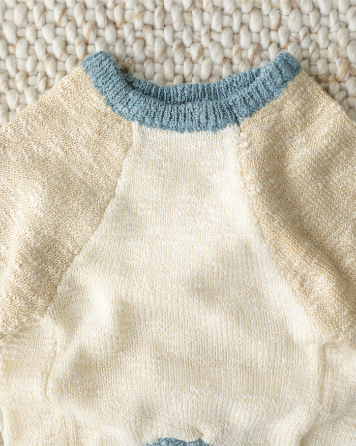 blue colorblock dog sweater close up slub texture detail