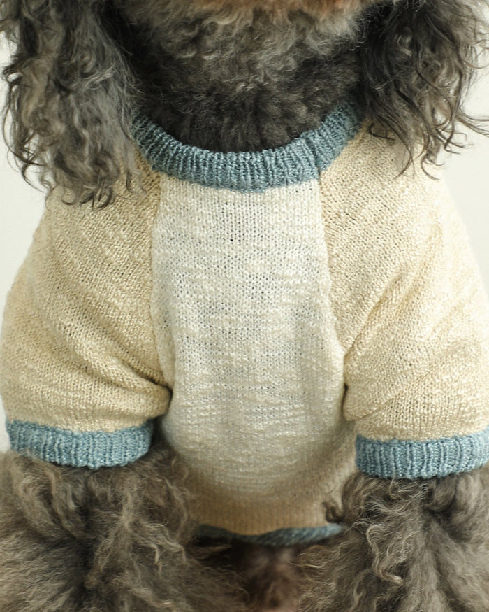 blue colorblock dog sweater angled product image