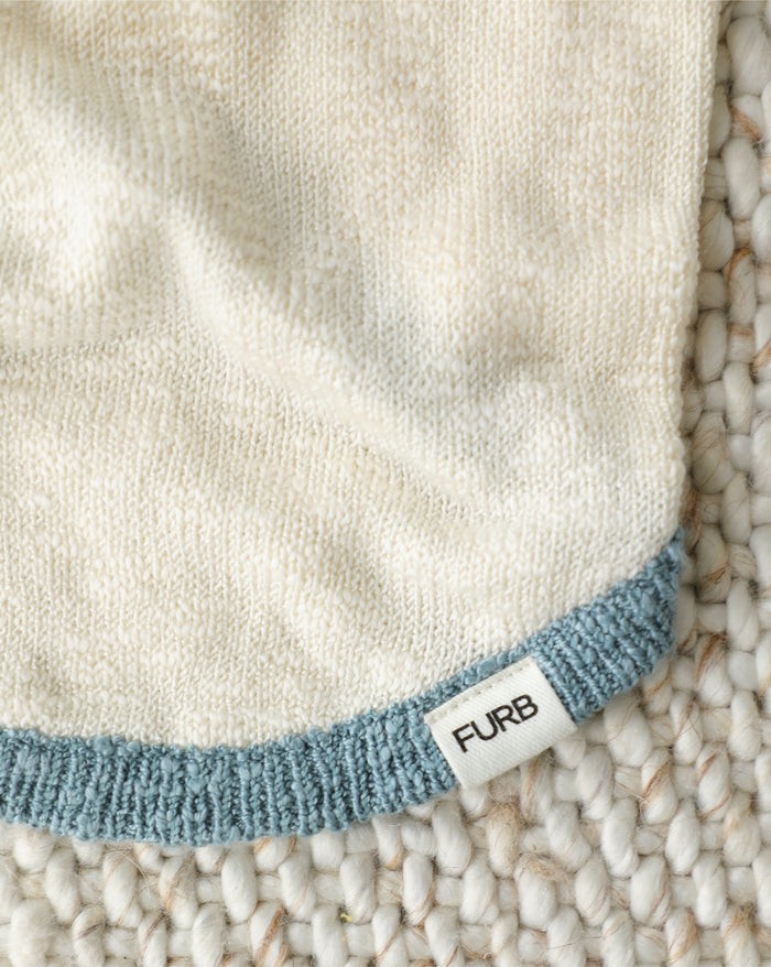 blue colorblock dog sweater back angle lifestyle image