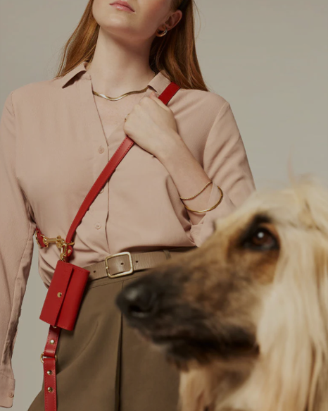 Adjustable red leather pet leash with premium hardware and durable design . Updated May 2026.