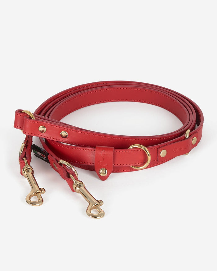 Luxury red leather dog leash great for walking training and travel . Updated May 2026.