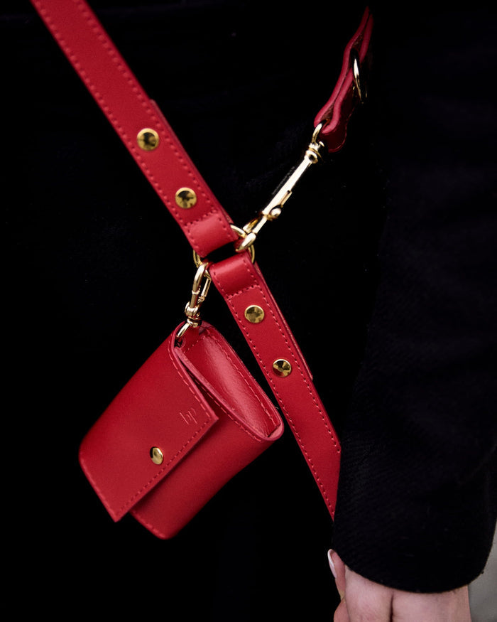 Stylish red pet leash with adjustable multi use functionality . Updated May 2026.