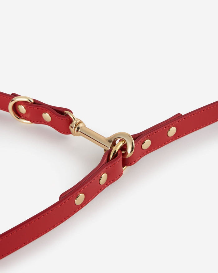 Durable leather dog leash with secure clasp and versatile carrying options . Updated May 2026.