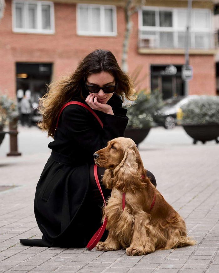 Premium red leather leash for modern pet accessories and daily walks . Updated May 2026.