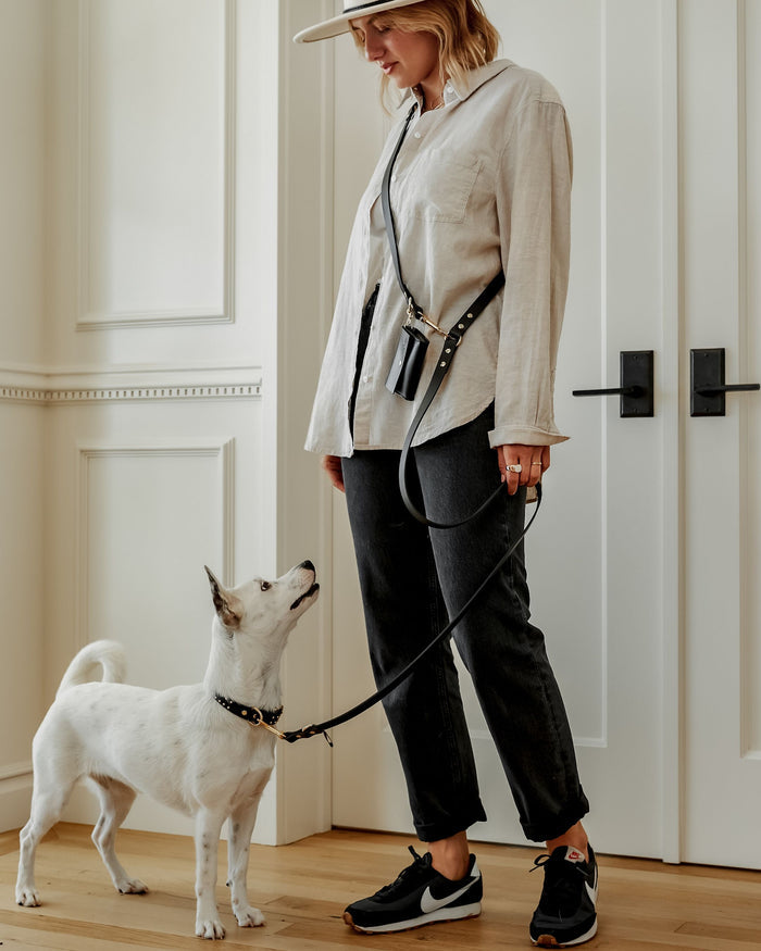 Angled lifestyle image of black leather multi-position dog collar on small dog for walking and leash versatility