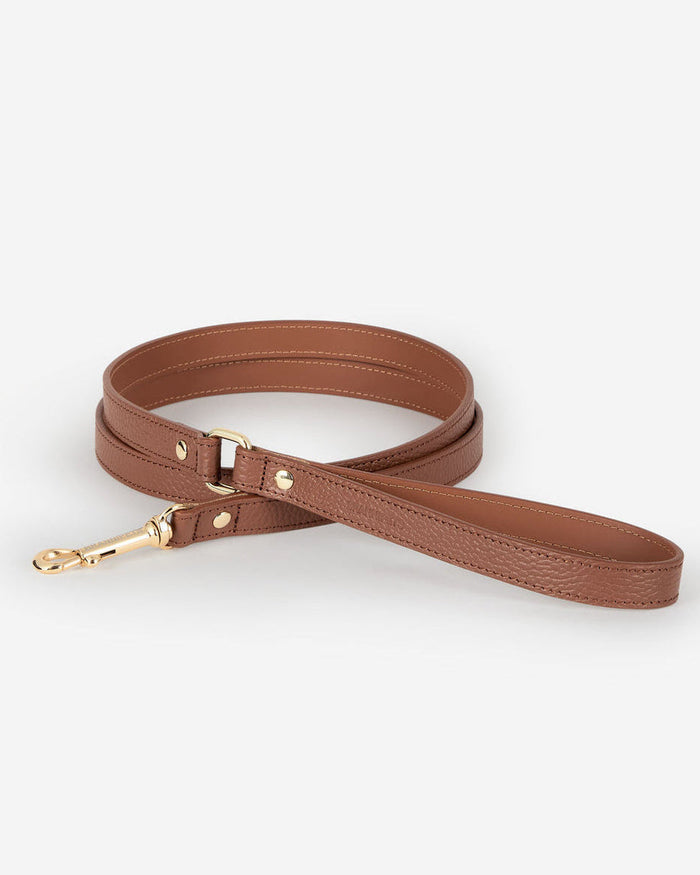 Chocolate brown leather dog leash, durable and stylish, ideal for everyday walks