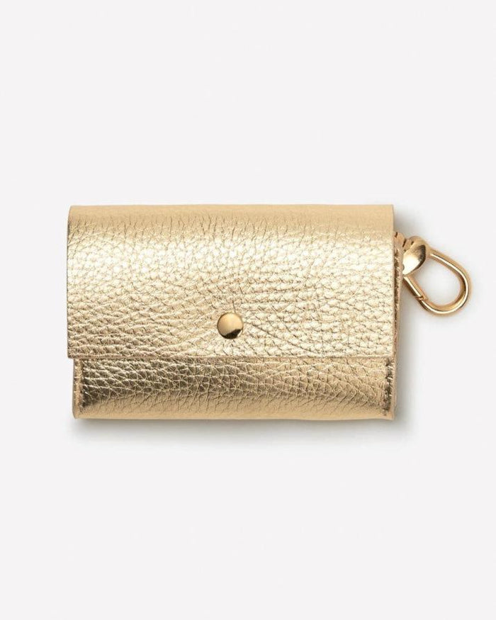 Polished gold collar and leash set, great for chic walks with breeds like Kerry Blue Terriers and Glen of Imaal Terriers