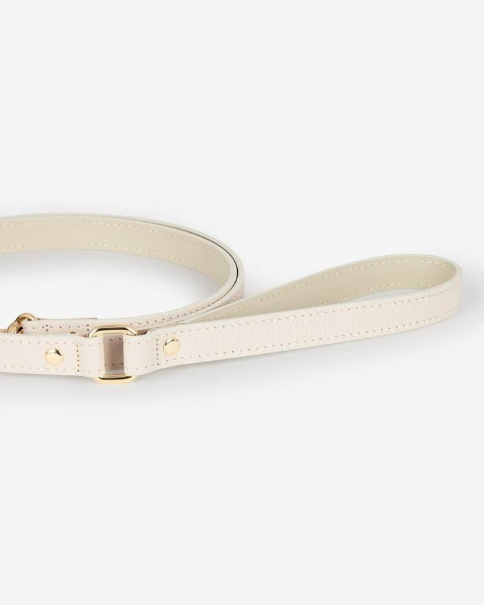 Soft ivory dog harness and leash set with adjustable straps, offering a personalized fit for any dog.