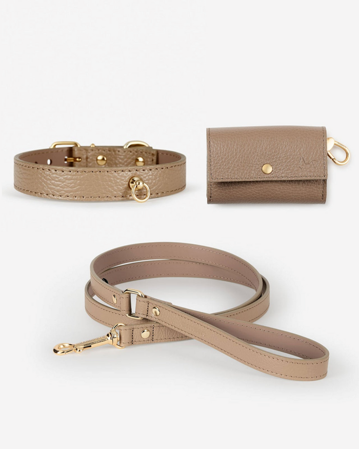 Nara taupe leather dog collar and leash walk kit, durable premium leather for small and medium dogs, stylish and secure
