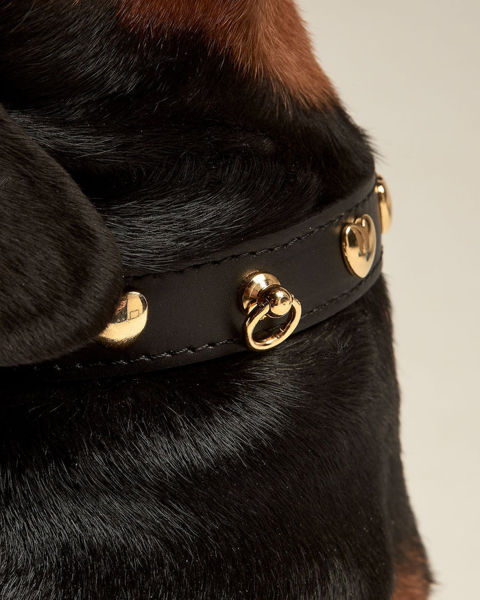 detailed studded dog collar with gold accents, luxury leather pet accessory