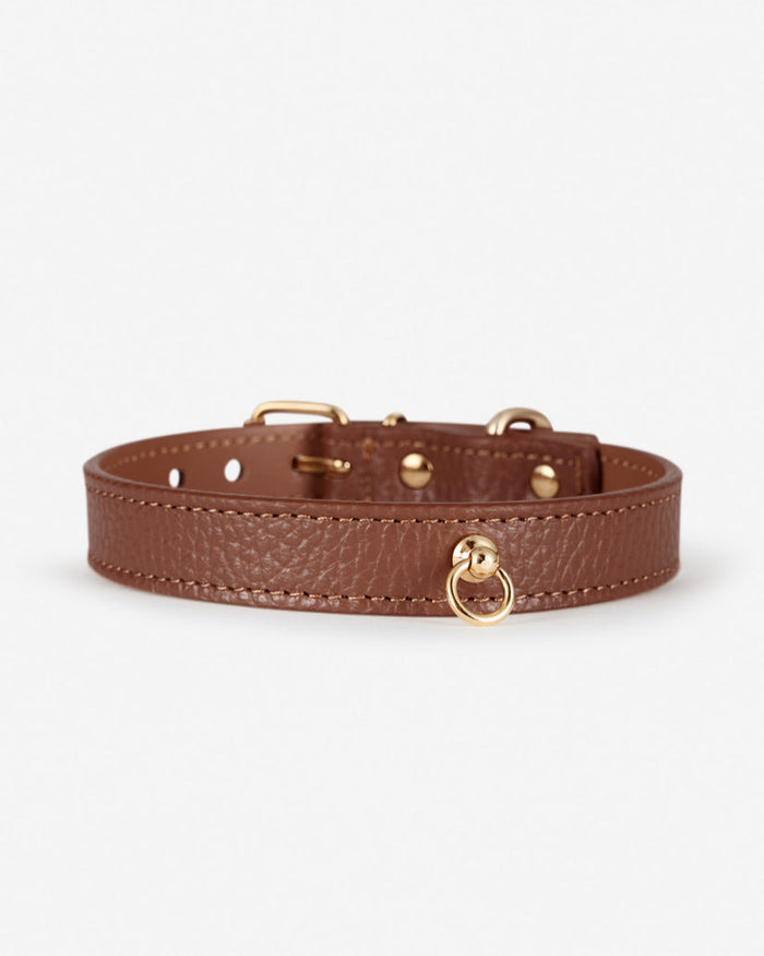 Front view of Nara chocolate brown leather dog collar, stylish pet accessory