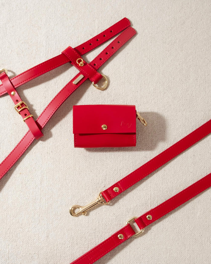 red leather dog leash with gold accents