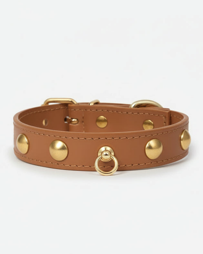 camel leather dog collar with studs, stylish and durable pet accessory