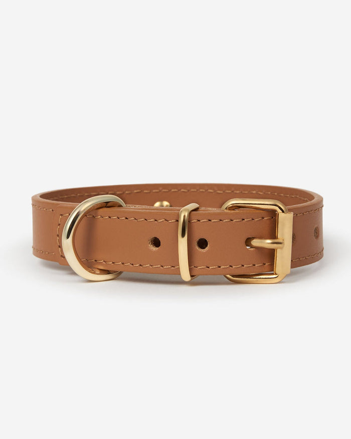 adjustable camel leather dog collar, premium accessory with clean design