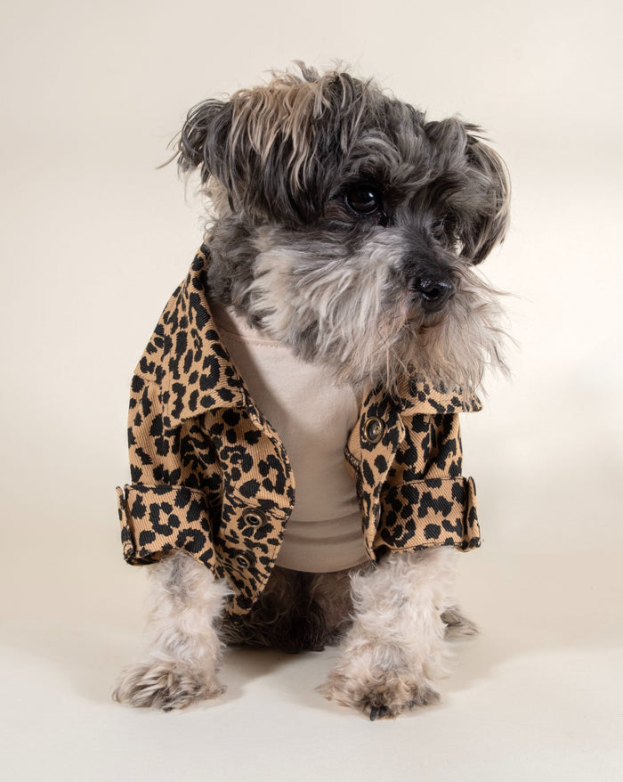 Leopard Dog Jacket - Stylish and warm jacket for your dog with a chic leopard print design.
