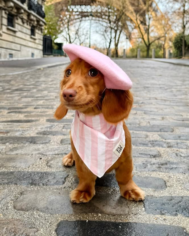 Paige Pink Striped Dog Bandana