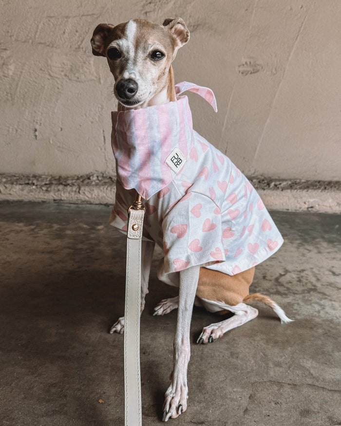 Stylish pet apparel with pink heart print for cute dog outfits. Updated May 2026.