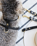Palermo Black Leather Dog Harness Image