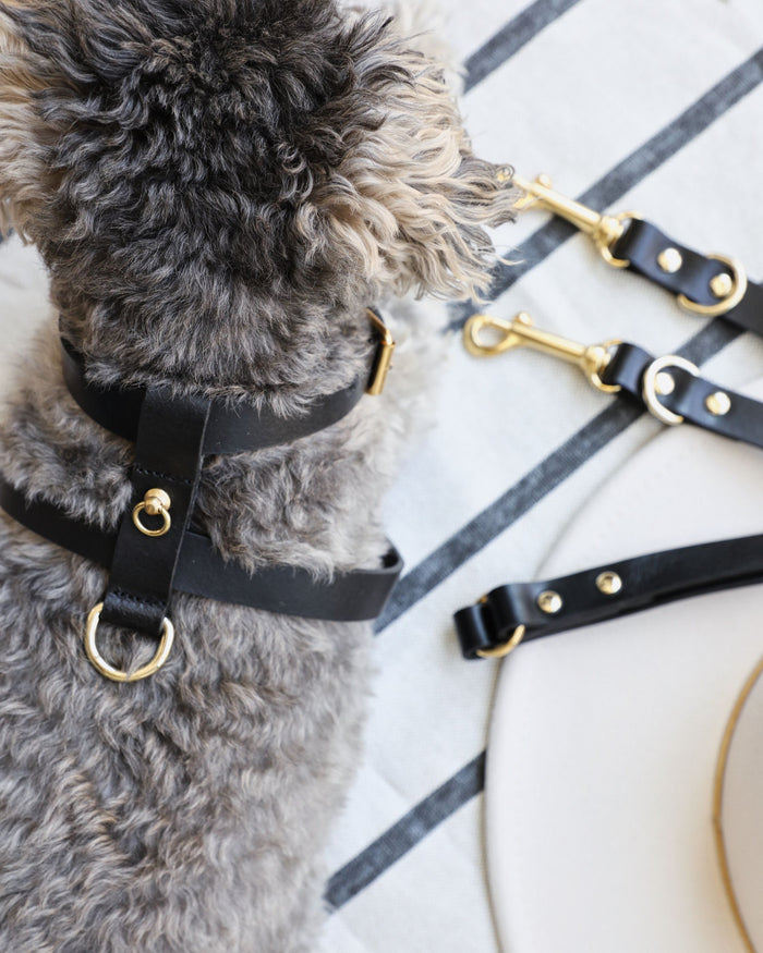 Palermo Black Leather Dog Harness Image