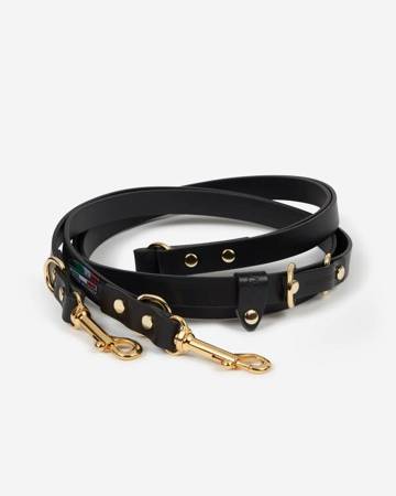 Easy-to-use harness walk kit with quick-release buckle and soft fabric for your dog's comfort.