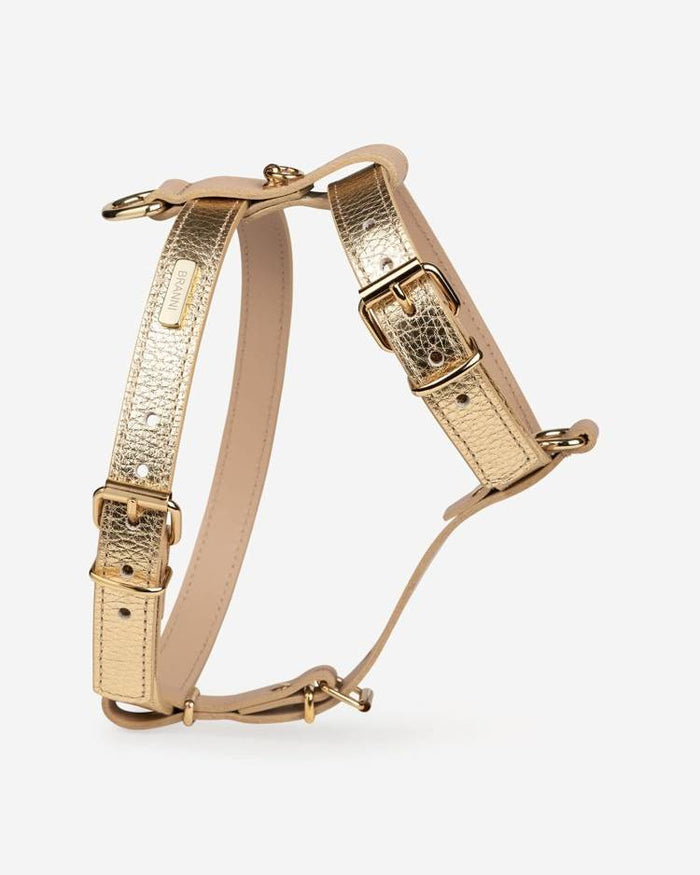Luxury gold dog harness and leash combo for comfort and style, perfect for fashionable pets.