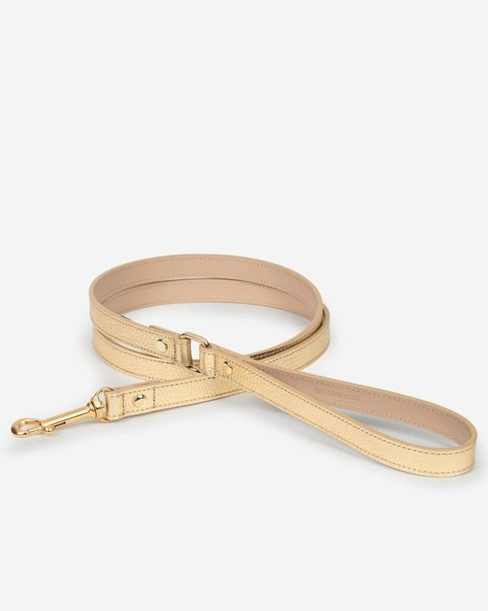 Premium gold dog walk kit with adjustable harness, providing both style and support during your daily walks.