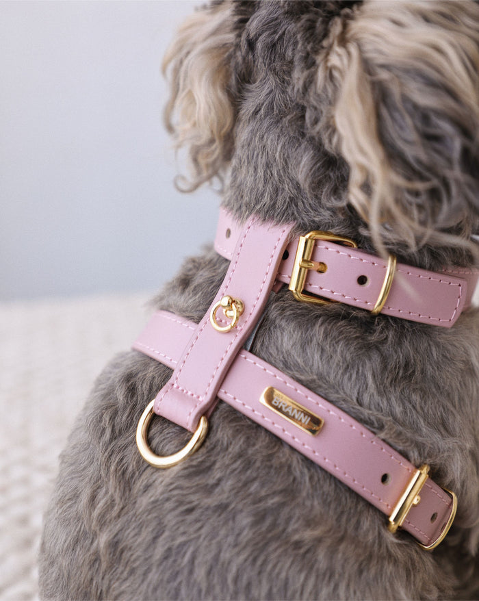 Side view of Palermo mauve leather dog harness highlighting adjustable straps and quality leather