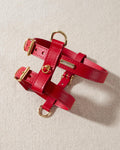 Close-up of red dog walk kit, built for style and durability for small to medium dogs like Miniature Schnauzers and Cockapoos