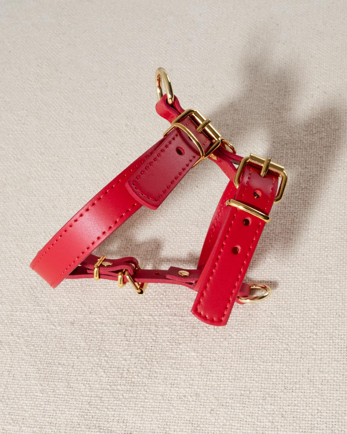 Red dog walk kit featuring matching accessories, designed for stylish outings with French Bulldogs or Cocker Spaniels