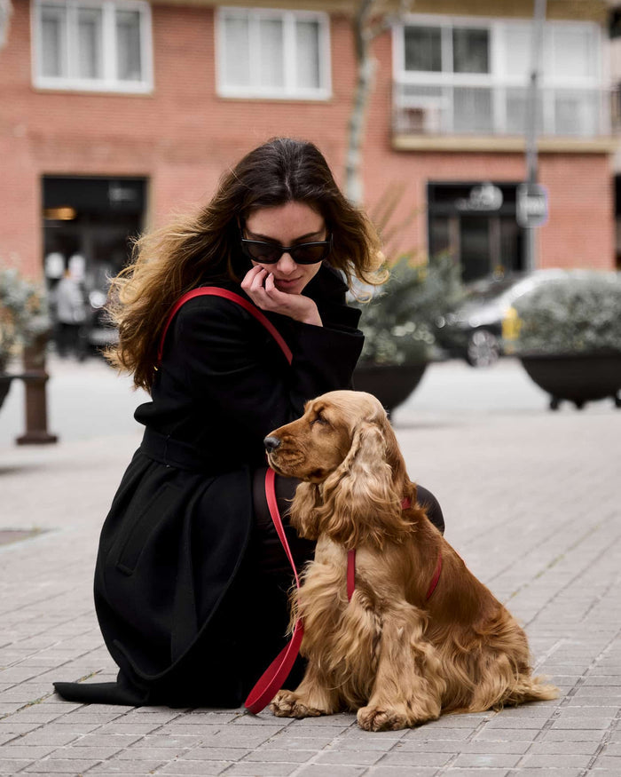 Palermo Red Leather Dog Harness