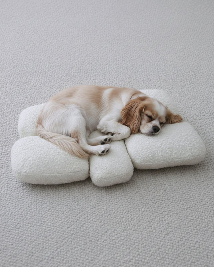 boucle small dog bed modern sculptural pet bed cream boucle cozy dog bed for small dogs