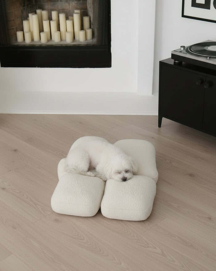 small dog bed lifestyle cozy neutral dog bed designed for small breeds