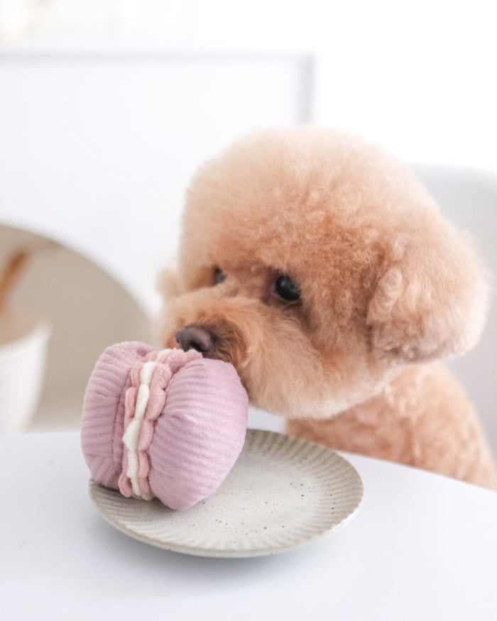 Playful pastry-themed dog toy set designed for interactive enrichment and gentle play, soft and engaging, great for pugs and French bulldogs
