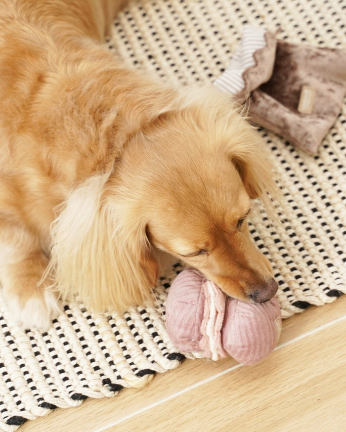 Enrichment dog toy set inspired by classic pastries, designed to keep playtime engaging, ideal for beagles and mixed breeds