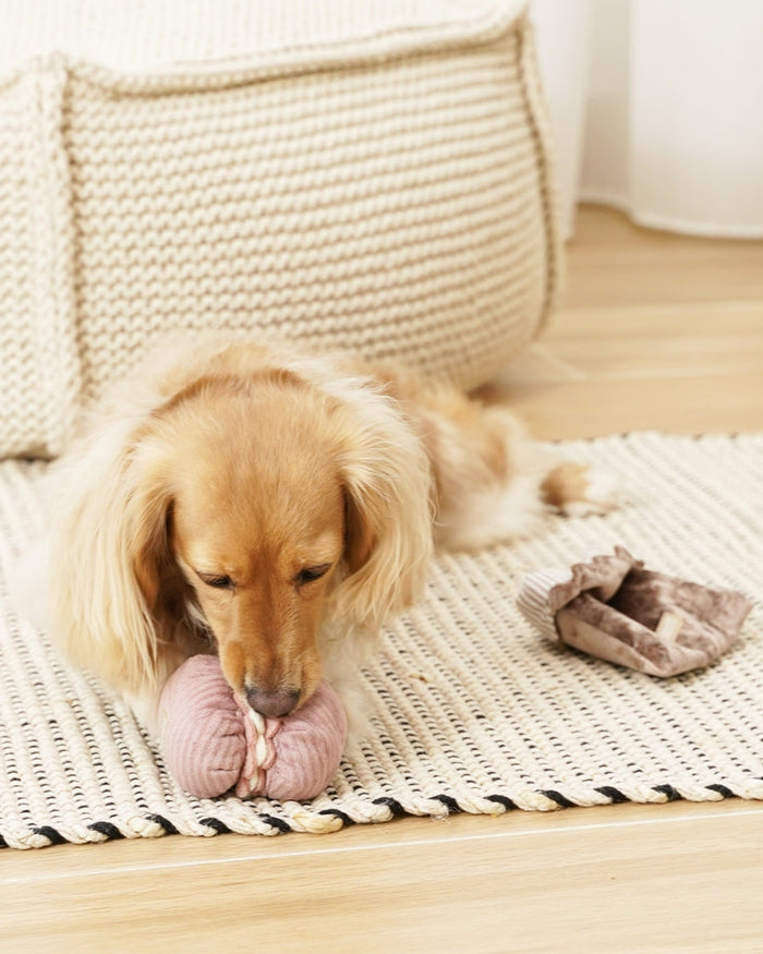 Interactive bakery-style dog toys that encourage curiosity and problem solving, perfect for poodles and companion dogs