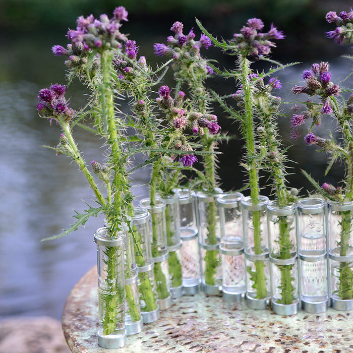PETIT VASE D'AVRIL
