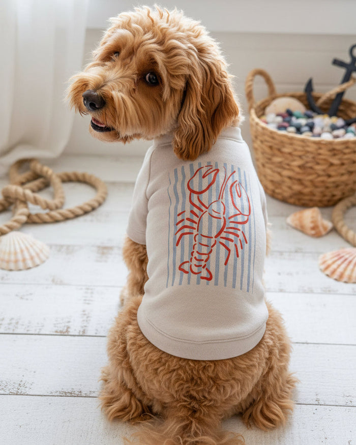 Pinch Me dog sweatshirt with playful lobster inspired graphic design . Updated May 2026.