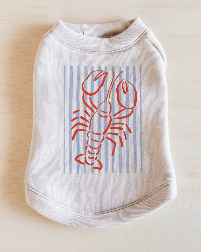 Cozy dog sweatshirt great for chilly weather and cute pet outfits . Updated May 2026.
