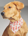 Pinch Perfect Lobster Dog Bandana