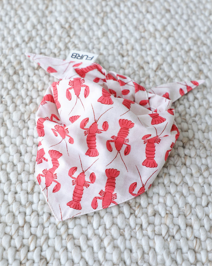 lobster print dog bandana cotton summer dog accessory beach style pet bandana