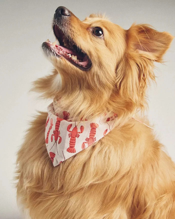 Pinch Perfect Lobster Dog Bandana