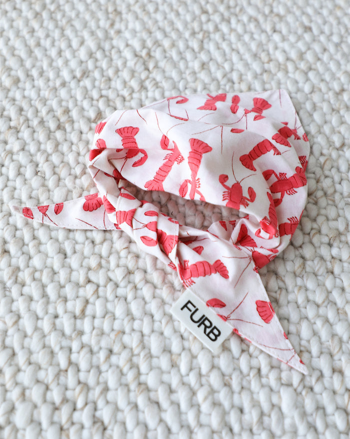 red lobster dog bandana for dogs nautical pet scarf cute summer dog fashion