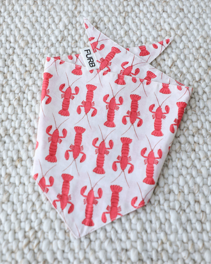 patriotic lobster dog bandana stylish cotton dog accessory for beach days