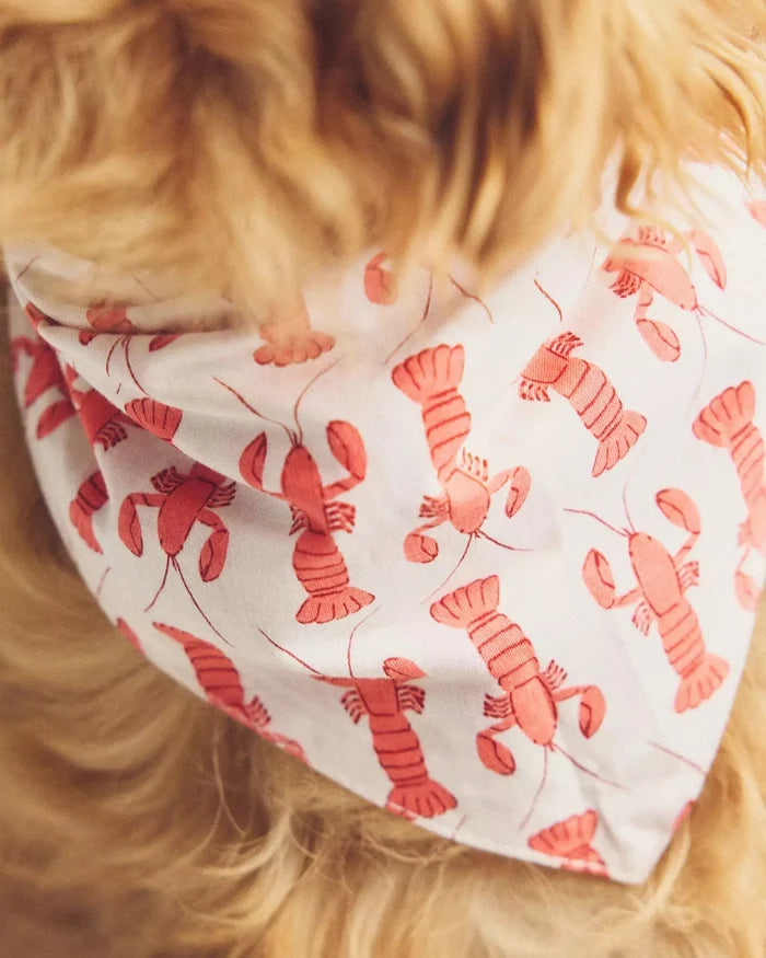 Pinch Perfect Lobster Dog Bandana