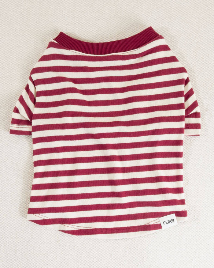 Vibrant red and ivory striped dog t-shirt, perfect for small to medium-sized dogs like Beagles.
