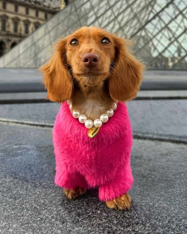 Polished Pup Pearl Dog Necklace