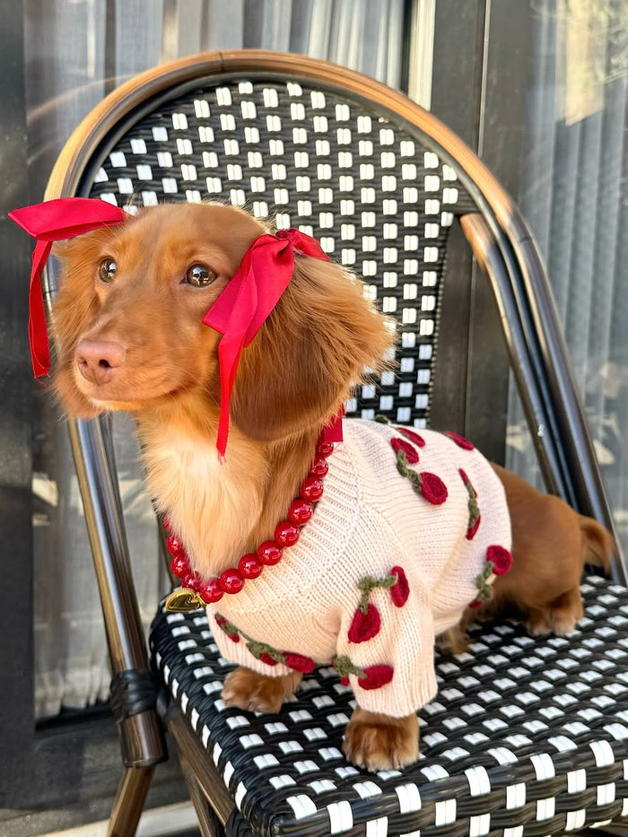 Polished Pup Red Dog Necklace