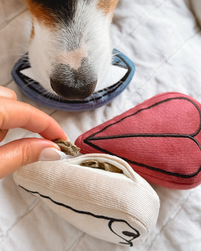 Soft enrichment toys for dogs designed to keep playtime engaging and rewarding, perfect for beagles and mixed breeds